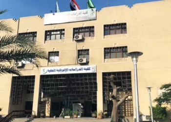 مؤتمر اقتصادى بجامعة القاهرة .. يناقش "الاستثمار فى أفريقيا" 19 - جريدة المساء