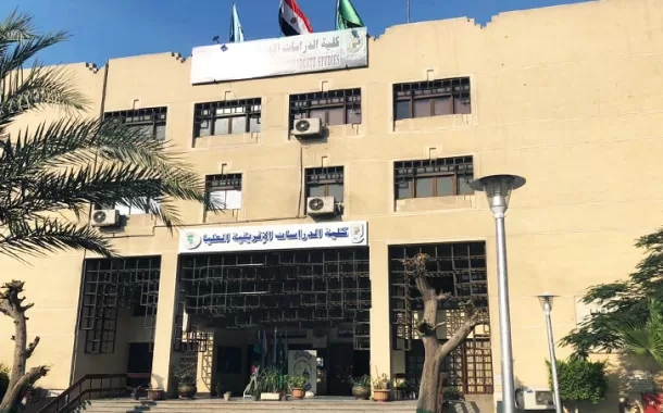 مؤتمر اقتصادى بجامعة القاهرة .. يناقش "الاستثمار فى أفريقيا" 17 - جريدة المساء