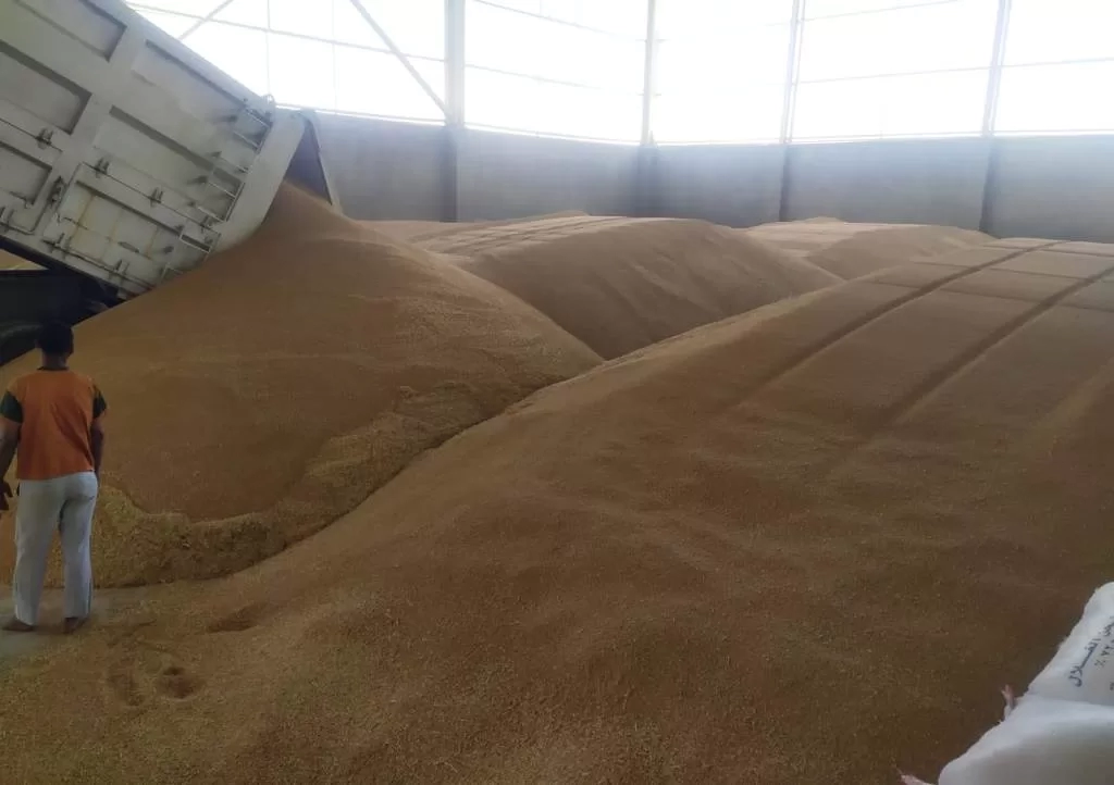 صوامع وشون وبناكر أسوان تستلم 270 ألفا و255 طنا من القمح من داخل وخارج المحافظة 19 - جريدة المساء