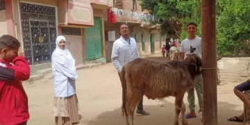 محافظ الفيوم يتابع جهود وأنشطة مديرية الطب البيطري خلال شهر أبريل الماضي‎ 1 - جريدة المساء