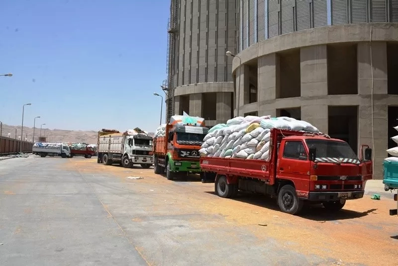 محافظ سوهاج:توريد 82 ألف طن قمح منذ بدء موسم التوريد دون معوقات .. وصرف أكثر من مليار جنيه مستحقات للمزارعين 17 - جريدة المساء