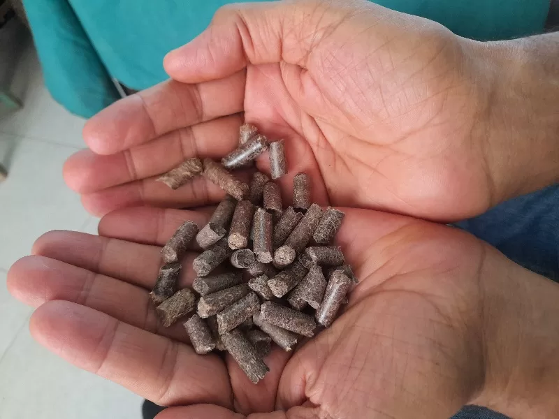 قنا تبدأ خطوات التحول الأخضر: تحويل المخلفات الزراعية إلى وقود لمصانع الأسمنت 37 - جريدة المساء