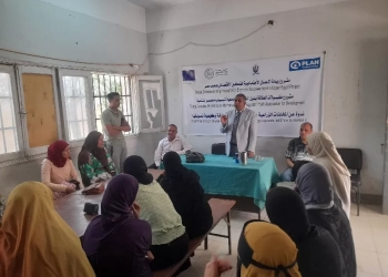 قنا تبدأ خطوات التحول الأخضر: تحويل المخلفات الزراعية إلى وقود لمصانع الأسمنت 17 - جريدة المساء