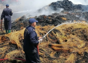 السيطرة علي حريق شونة الكتان بزفتى والمحافظ يشيد بالبطولة الجماعية 17 - جريدة المساء