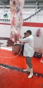 فتح ٢٣ مجزرًا مجانًا بالجيزة للمواطنين خلال أيام عيد الأضحى 23 - جريدة المساء