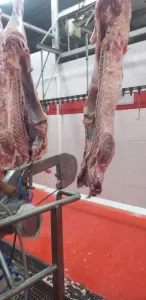 فتح ٢٣ مجزرًا مجانًا بالجيزة للمواطنين خلال أيام عيد الأضحى 21 - جريدة المساء