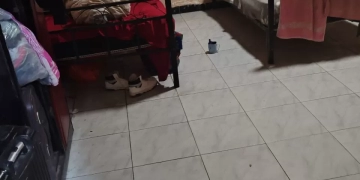 الصحة: اغلاق 10 مراكز لعلاج الإدمان تعمل بدون ترخيص بحدائق الأهرام 1 - جريدة المساء