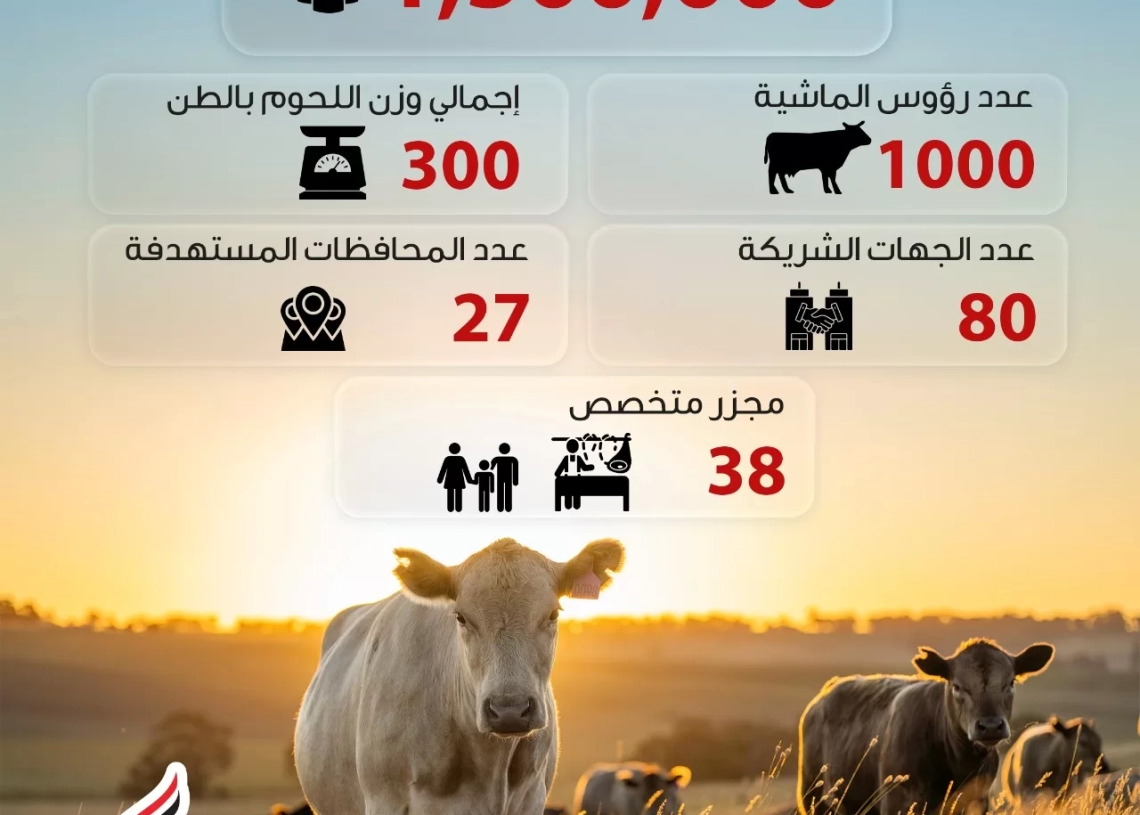 "صندوق تحيا مصر": 1.5 مليون مستفيد من لحوم الأضاحي من الأسر الأولى بالرعاية في كافة المحافظات 19 - جريدة المساء