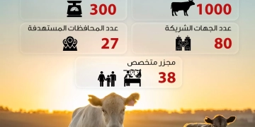 "صندوق تحيا مصر": 1.5 مليون مستفيد من لحوم الأضاحي من الأسر الأولى بالرعاية في كافة المحافظات 1 - جريدة المساء