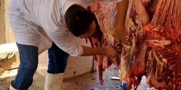 ذبح ٢٢٠٢ أضحية للمواطنين بمجازر الجيزة خلال يومين 1 - جريدة المساء