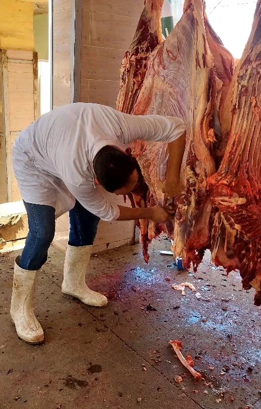 ذبح ٢٢٠٢ أضحية للمواطنين بمجازر الجيزة خلال يومين 18 - جريدة المساء