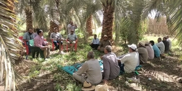 حصاد أنشطة مبادرة مركز البحوث الزراعية لتفعيل دور المراكز الإرشادية الزراعية 1 - جريدة المساء