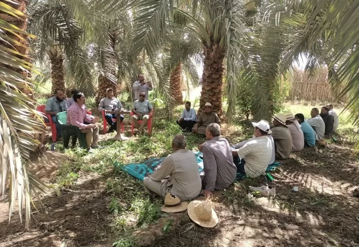 حصاد أنشطة مبادرة مركز البحوث الزراعية لتفعيل دور المراكز الإرشادية الزراعية 17 - جريدة المساء