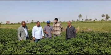 "الزراعة" تتفقد المراكز الإرشادية ببنى سويف وتتابع الأنشطة الإرشادية ببعض قرى المحافظة 1 - جريدة المساء