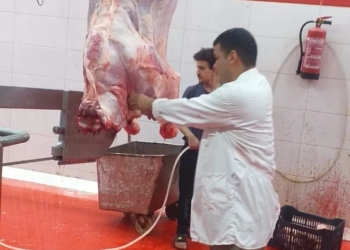 محافظ الجيزة يقرر وقف إجازات الأطباء البيطريين بالمجازر خلال عيد الأضحى 25 - جريدة المساء