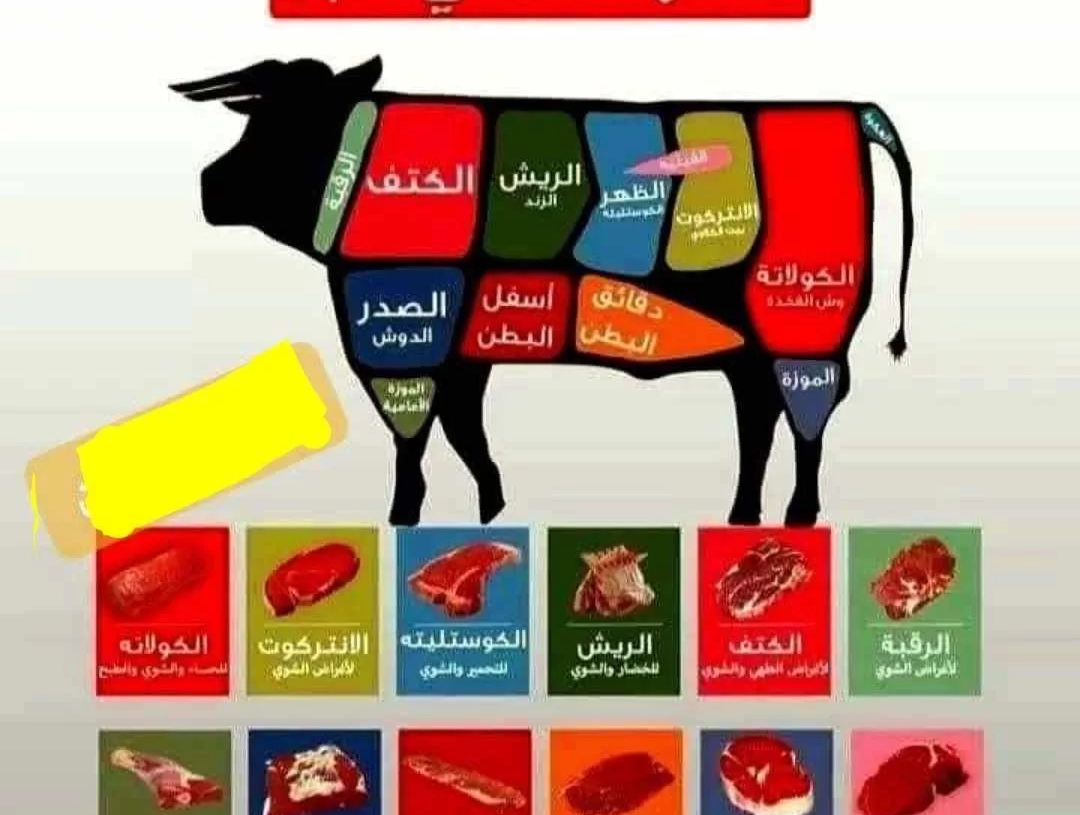 دليلك السريع لاختيار القطعة المناسبة فى الأضحية واستخداماتها 19 - جريدة المساء