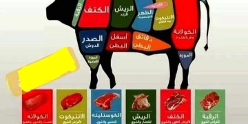 دليلك السريع لاختيار القطعة المناسبة فى الأضحية واستخداماتها 1 - جريدة المساء