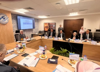 معاشات استثنائية لأسرة سائق شاحنة البنزين وأسر ضحايا حادث طريق أشمون 16 - جريدة المساء