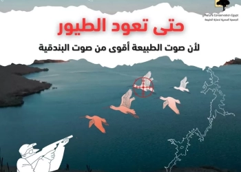 جمعيتا كتاب البيئة والمصرية لحماية الطبيعة تطلقان غدا مبادرة "لا للصيد الجائر" 23 - جريدة المساء