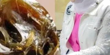 ضبط 40 مخالفة تموينية و2 طن شحم في حملات علي مدن مطروح  1 - جريدة المساء