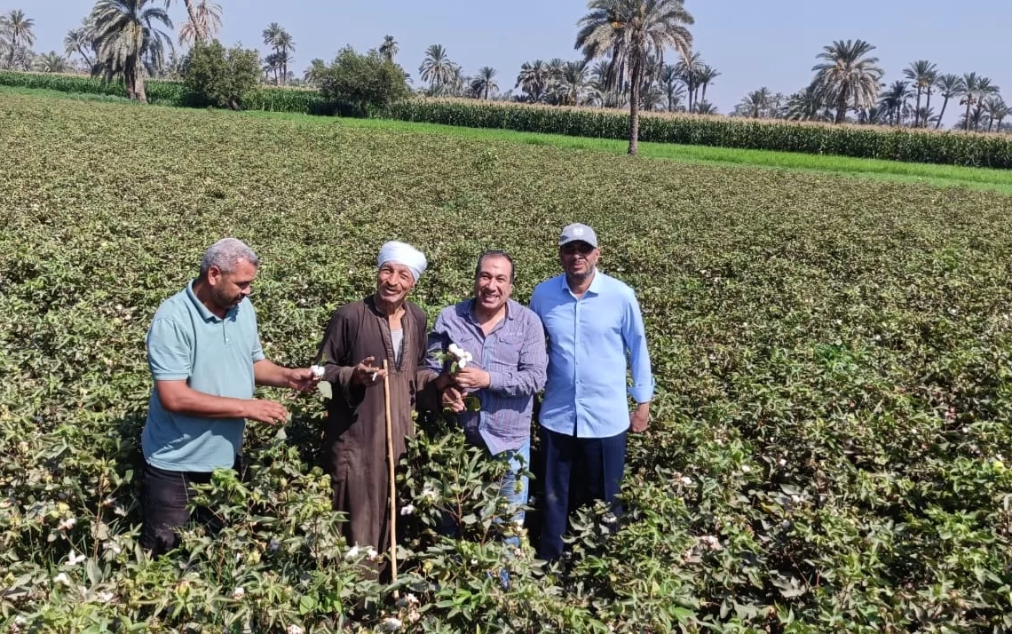 "البحوث الزراعية": حقول القطن بالفيوم بدون إصابات حشرية 19 - جريدة المساء "البحوث الزراعية": حقول القطن بالفيوم بدون إصابات حشرية 18 - جريدة المساء