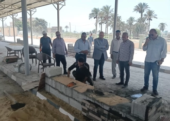 الجيزة تعلن تشغيل موقف السرفيس الحضاري بالصف.. الثلاثاء المقبل 17 - جريدة المساء