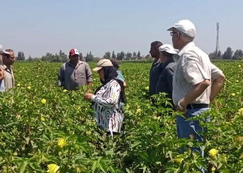 المركزية للإرشاد الزراعي تواصل جهود تقديم الدعم الفني للمزارعين 17 - جريدة المساء