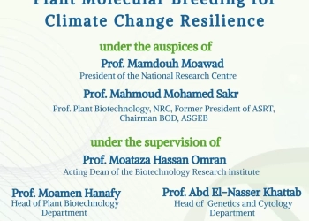 ورشة عمل بقومى البحوث تناقش تطوير أصناف جديدة من الشعير والقمح أكثر تحملا للجفاف والملوحة 25 - جريدة المساء
