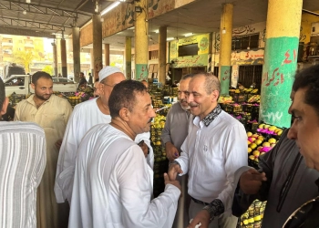 جولة انتخابية حاشدة لمرشح "حماة الوطن" بالإسماعيلية بسوق الجملة بالمستقبل 17 - جريدة المساء