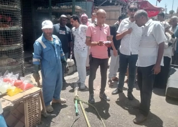 مطروح تشن حملات علي محلات الجزارة والأسماك والدواجن وضبط 21 مخالفة  15 - جريدة المساء