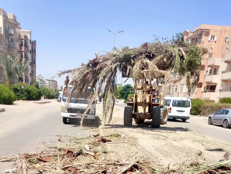 "العاشر من رمضان تتجمل".. حملات نظافة شاملة لرفع كفاءة الأحياء والمجاورات 19 - جريدة المساء