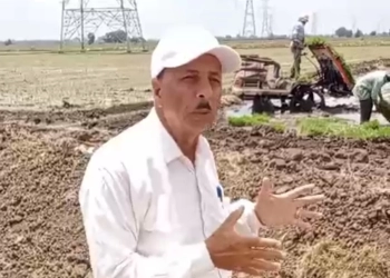 د.موافي : ميكنة زراعة الأرز تعزز جهود تطوير الإنتاج 16 - جريدة المساء