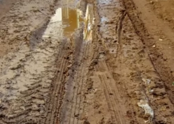 معاشات أشمون ..تغرق فى مياه الصرف الصحى !! 17 - جريدة المساء