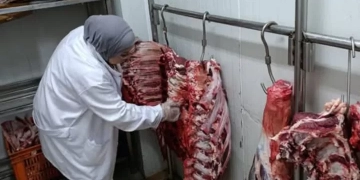 "الزراعة": ضبط 122 طنًا من اللحوم الفاسدة والأسماك وتحرير 1,553 محضرًا خلال يونيو 1 - جريدة المساء