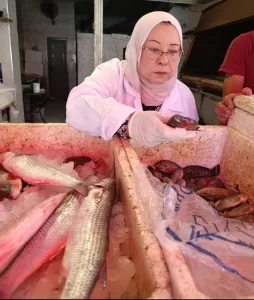 "الزراعة": ضبط 122 طنًا من اللحوم الفاسدة والأسماك وتحرير 1,553 محضرًا خلال يونيو 19 - جريدة المساء