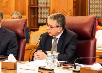 أموى: نتطلع إلى استراتيجية عربية مشتركة للتعاون الجمركى والإدارى 33 - جريدة المساء