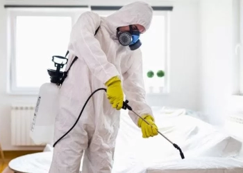 افضل شركة مكافحة حشرات بالكويت