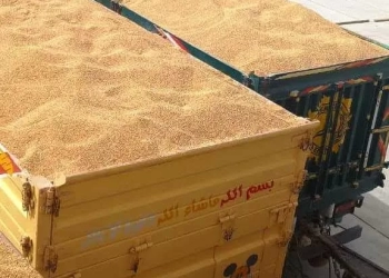 محافظ سوهاج: توريد 183 ألف طن قمح وصرف مستحقات المزارعين 18 - جريدة المساء