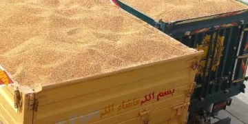 محافظ سوهاج: توريد 183 ألف طن قمح وصرف مستحقات المزارعين 1 - جريدة المساء