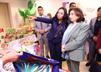 مايا مرسي تستعرض جهود التضامن في دعم الحضانات والتحول نحو الاقتصاد الأخضر 21 - جريدة المساء