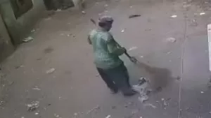 محافظ الشرقية ينعى وفاة "عامل نظافة"أثناء تأدية عمله بقطاع تحسين البيئة 24 - جريدة المساء محافظ الشرقية ينعى وفاة "عامل نظافة"أثناء تأدية عمله بقطاع تحسين البيئة 23 - جريدة المساء