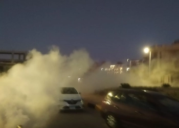 بالتعاون مع جهاز المدينة.. مجلس أمناء الشروق يقود حملات لمكافحة الحشرات 17 - جريدة المساء