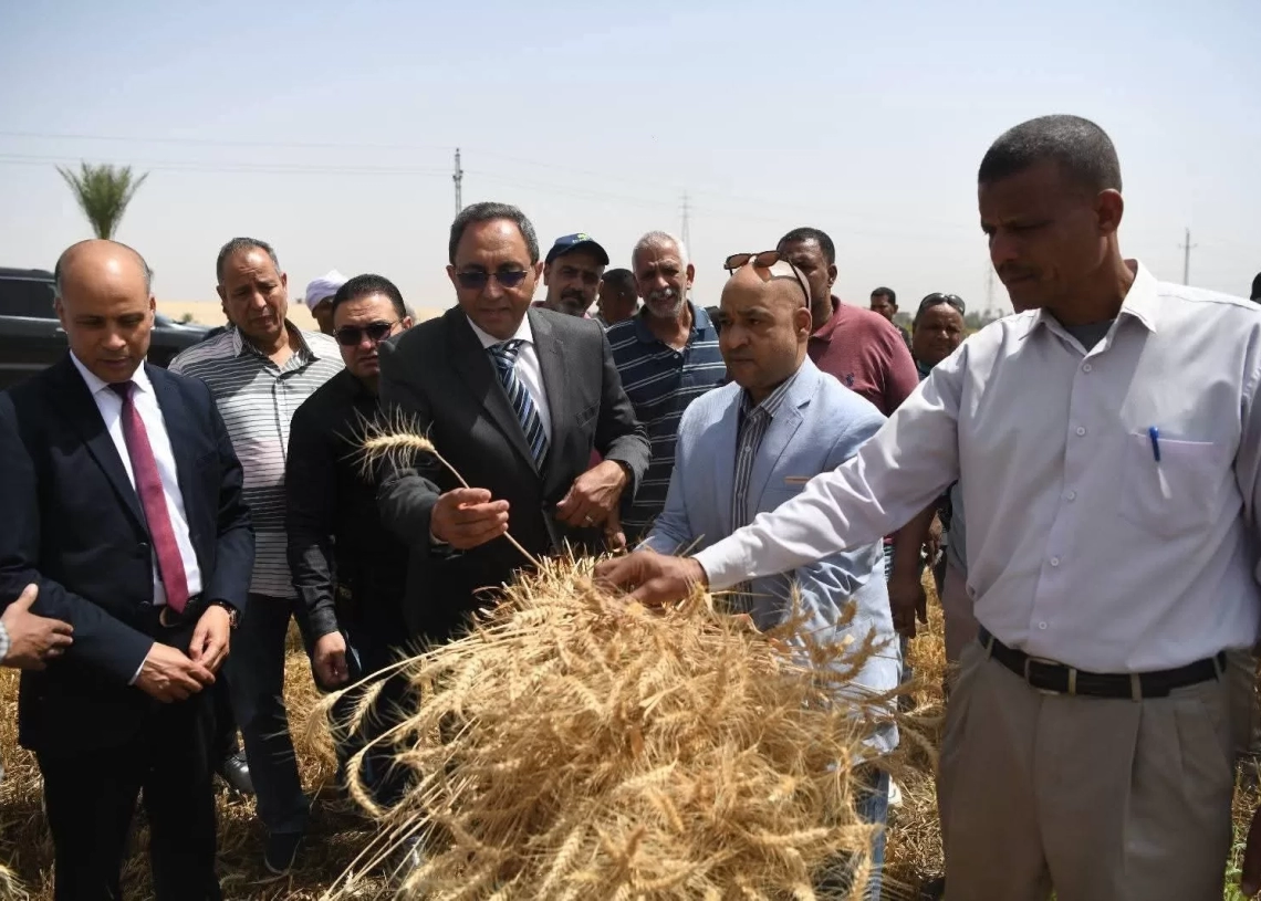 "قنا" تعلن ختام موسم توريد القمح بزيادة 14 ألف طن عن العام الماضي 20 - جريدة المساء "قنا" تعلن ختام موسم توريد القمح بزيادة 14 ألف طن عن العام الماضي 19 - جريدة المساء