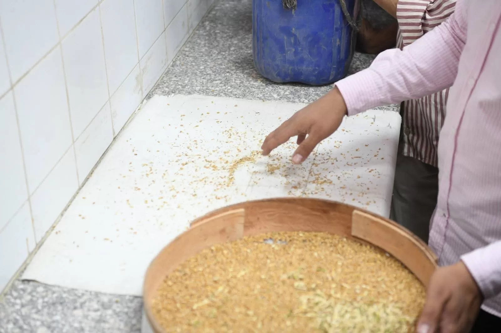 "قنا" تعلن ختام موسم توريد القمح بزيادة 14 ألف طن عن العام الماضي 29 - جريدة المساء