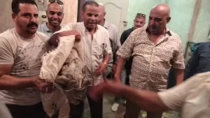 بالصور.. ضبط 3 أطنان أحشاء داخلية "لحمة رأس" غير صالحة للاستهلاك الآدمي بأوسيم 17 - جريدة المساء