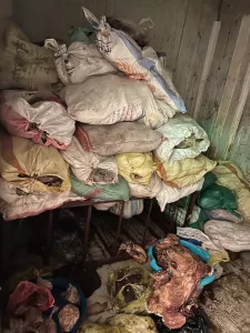 بالصور.. ضبط 3 أطنان أحشاء داخلية "لحمة رأس" غير صالحة للاستهلاك الآدمي بأوسيم 29 - جريدة المساء