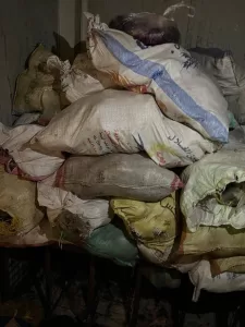 بالصور.. ضبط 3 أطنان أحشاء داخلية "لحمة رأس" غير صالحة للاستهلاك الآدمي بأوسيم 31 - جريدة المساء