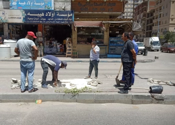 سكان مرسى مطروح يشاركون في "مطروح الخير" بزراعة أشجار الزينة 17 - جريدة المساء