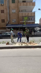 سكان مرسى مطروح يشاركون في "مطروح الخير" بزراعة أشجار الزينة 21 - جريدة المساء