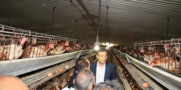 وزير الزراعة ومحافظ الشرقية يتفقدان مشروع الصالحية المتكامل 1 - جريدة المساء